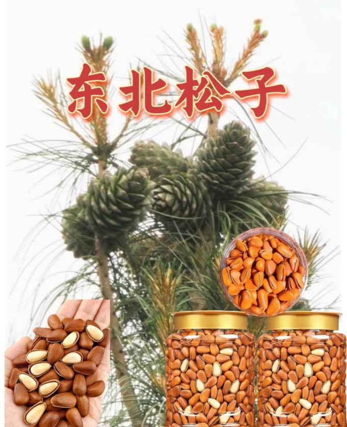 沃隆坚果炒货