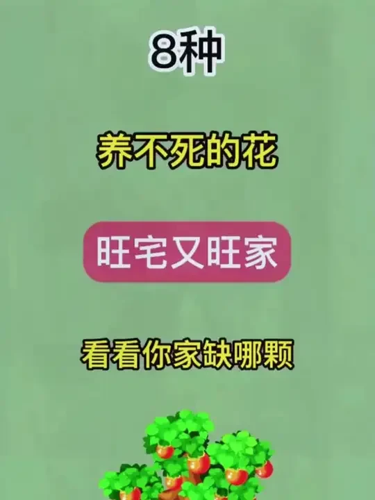 家中有花，十有九发#爱生活爱养花 #我的花花草草🌸🌸 #花卉绿植 #一花一草一世界 #室内盆栽