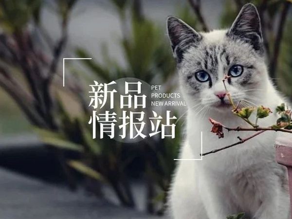 BORF博夫、honeycare好命家、朗诺、有鱼、wowo喔喔等品牌上新丨新品情报站