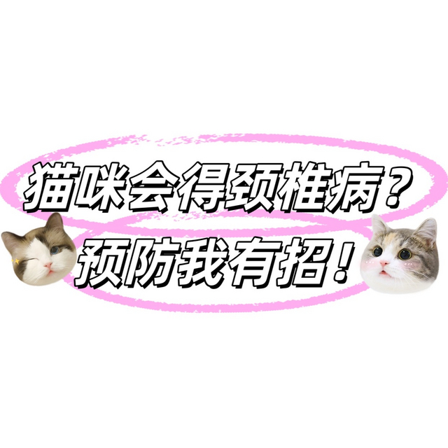 猫咪会得颈椎病？预防我有招！