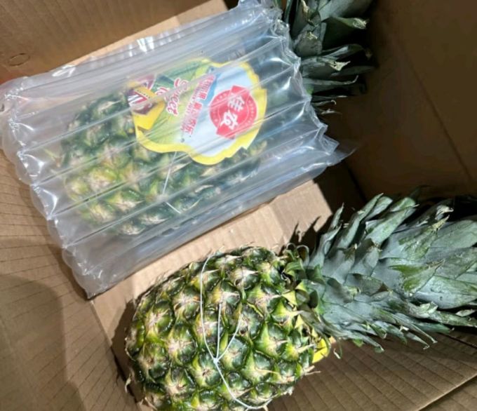 佳农其他水果