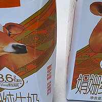 辉山娟姗牛纯牛奶——高钙高蛋白，健康每一天！