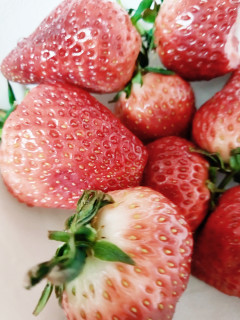 吃完草莓，莓心莓肺莓烦恼