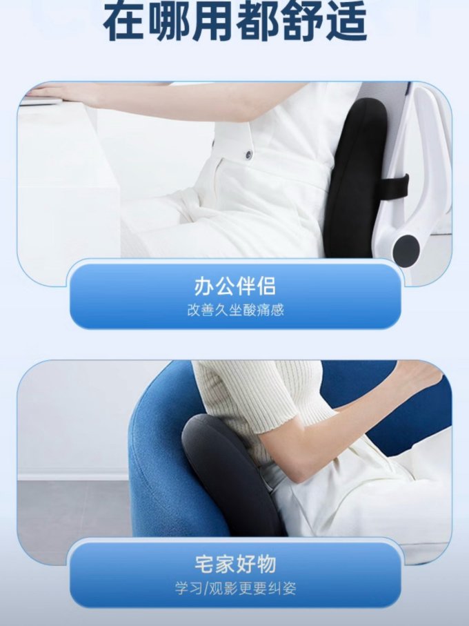 智国者车用腰靠