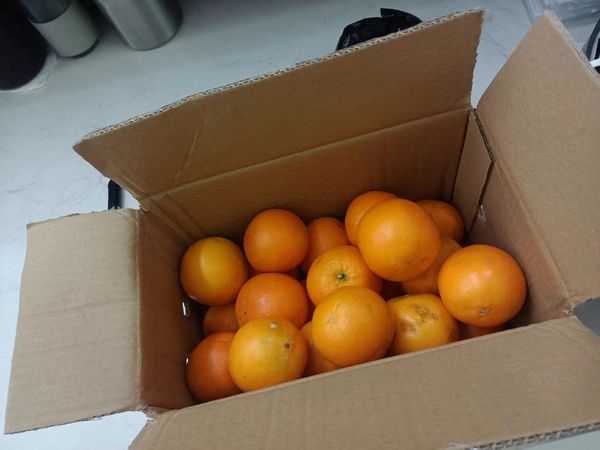 赣南脐橙：农家自种，自然香甜