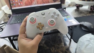 入股不亏--盖世小鸡 风行者2游戏手柄