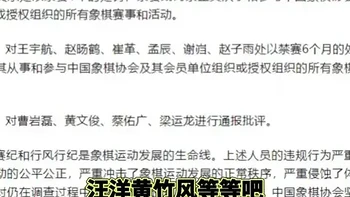 【省流总结】中国象棋协会处罚公告 对41名违规人员进行通报