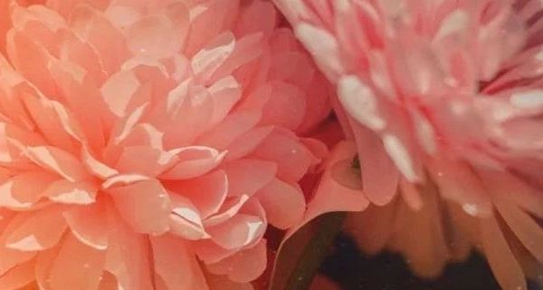 必备美术用品推荐  多款高性价比产品介绍