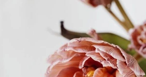 越南原装进口G7 COFFEE 30g/盒 深度解析