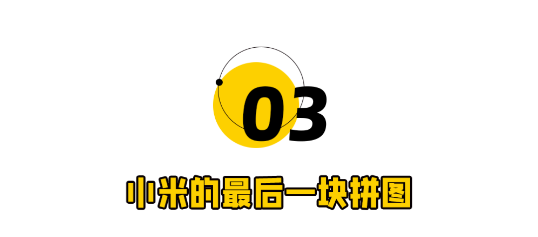 千万年薪拿下95后天才少女,雷军梭哈AI了