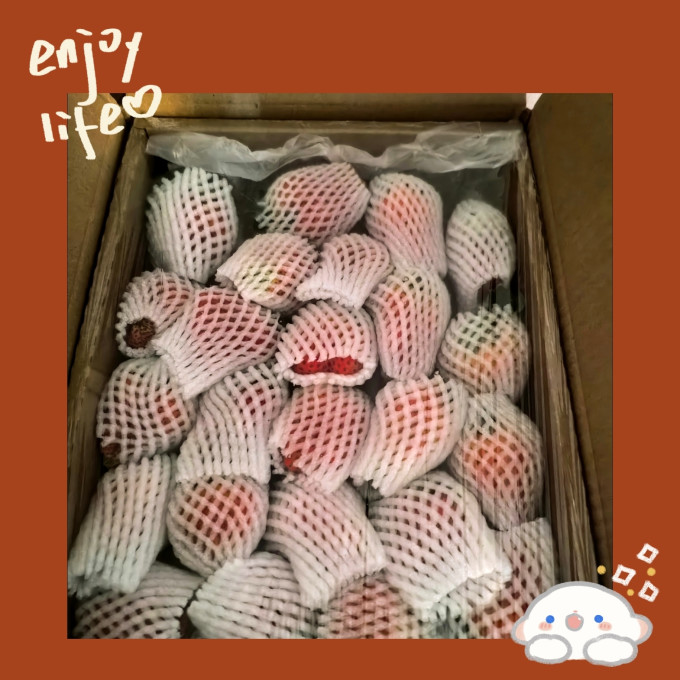 玖玖农场草莓