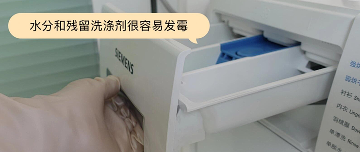 年前大扫除：这7个地方才是重点，都是家里的“霉菌重灾区”