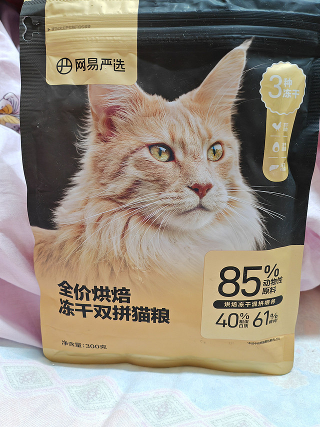 过年了，猫孩子的口粮，你准备的怎么样了？