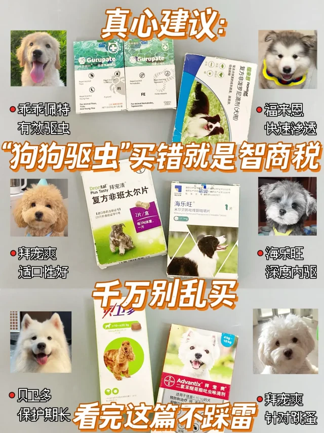 其实狗狗早该驱虫了！一篇让你选对驱虫药！