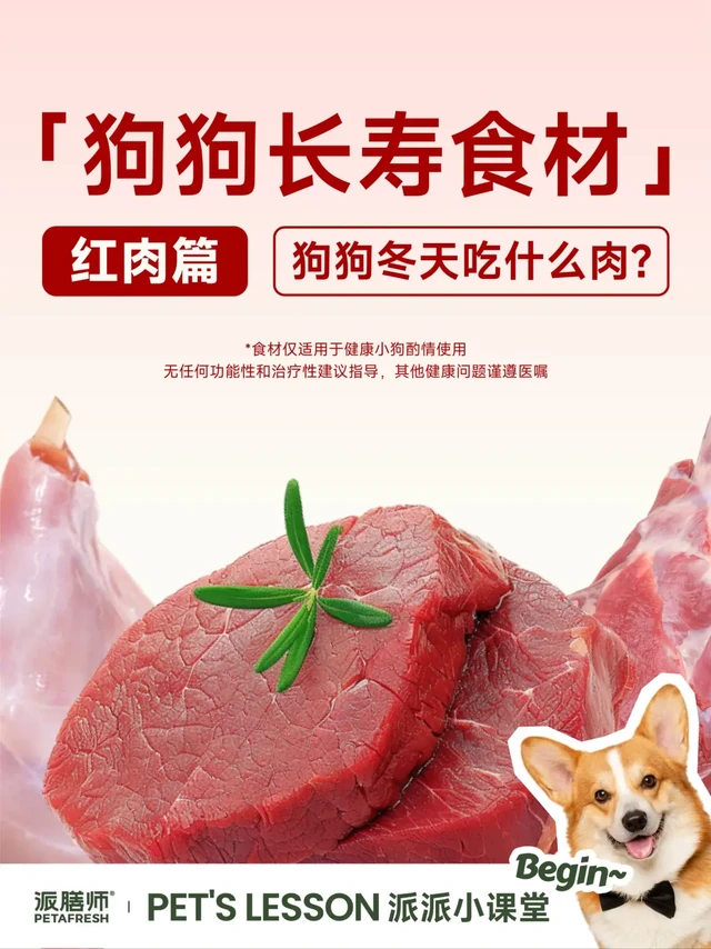 🎁给狗狗选肉安全毕业