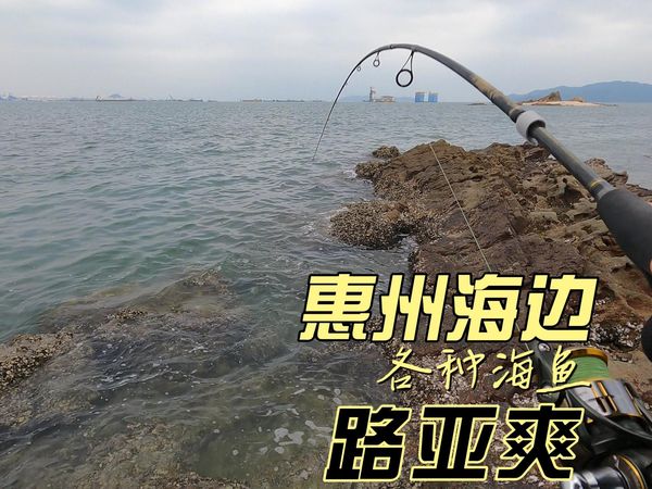 惠州海边路亚钓黑鲷（黑脚力），红友等，太爽了，环境极好