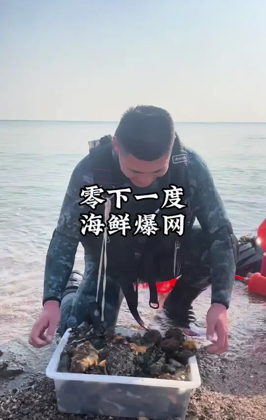 #潜水 一个平平无奇的周末，谁能想到惊喜如此突然#赶海 #户外 #海参 #大海的馈赠