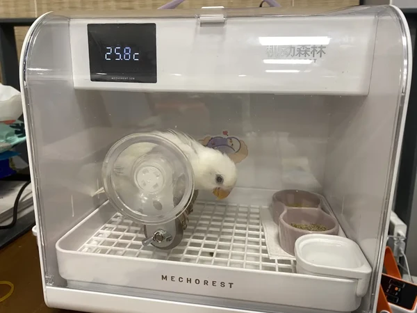 关于机动森林保温箱使用感受