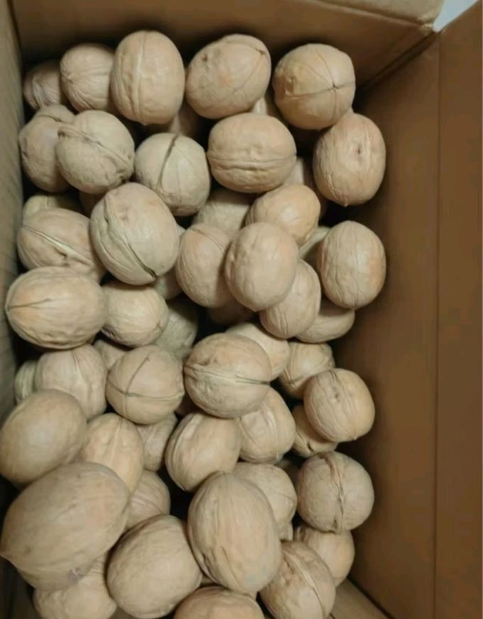 楼兰蜜语核桃