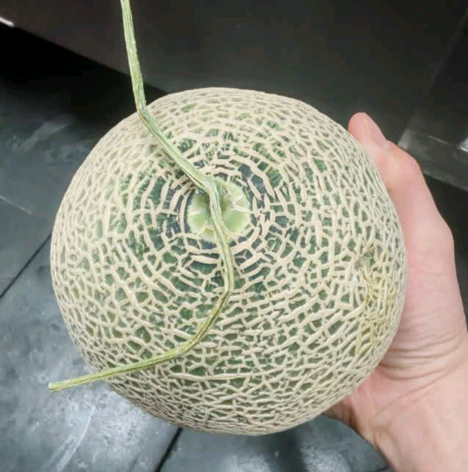其他水果