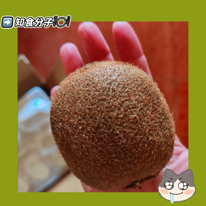 京鲜生奇异果/猕猴桃