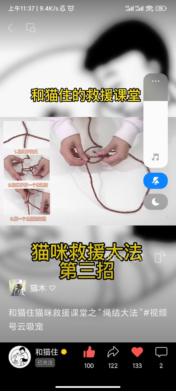 猫咪