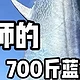 钓鱼明星邓刚挑战700斤蓝鳍金枪鱼：真假之争引热议