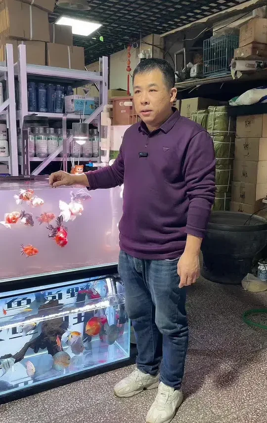 打造空气缸神器 #水族 #养鱼日记 #空气缸 #净水神器 #水族用品
