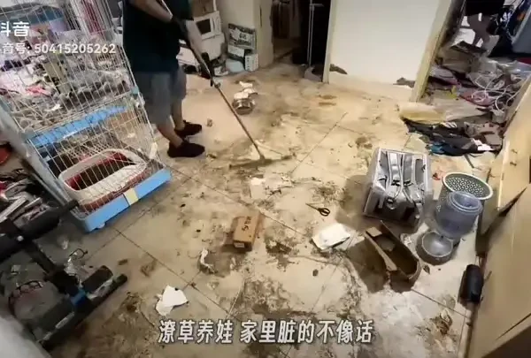 #广州同城上门保洁#深度保洁#软装清洗#家电清洗#开荒保洁