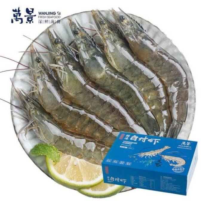 万景虾类