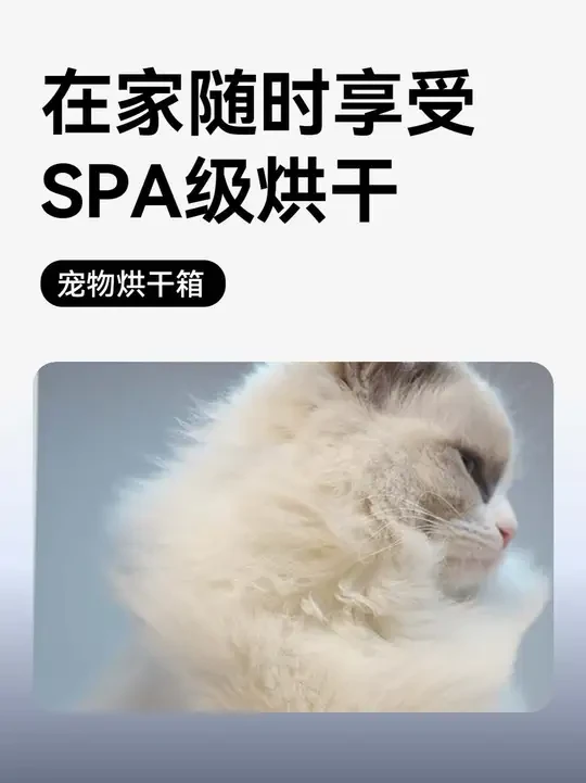 在家随时享受SPA级烘干 #猫咪烘干箱 #萌宠出道计划 #猫洗澡 #萌宠好物 #小猫烘干机推荐