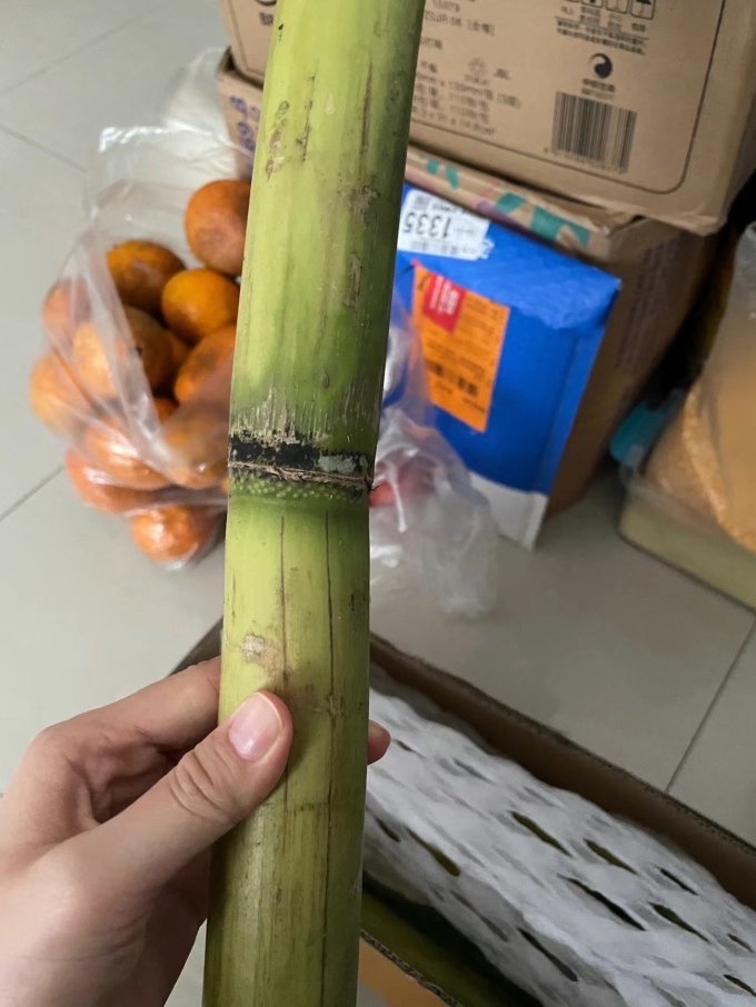 黄六爷其他肉类