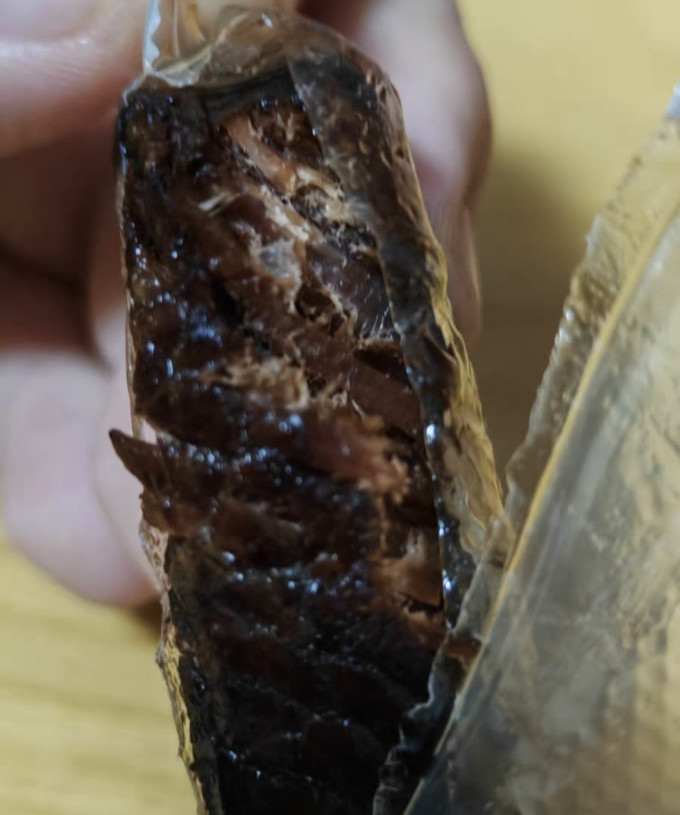 喵满分牛肉类