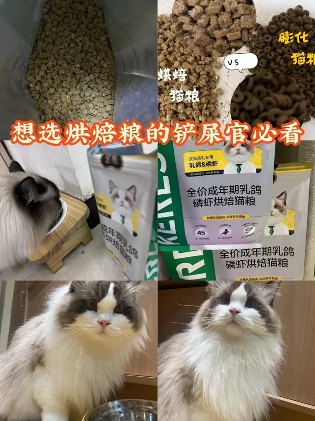 烘焙粮到底好在哪？想选烘焙粮的铲屎官必看