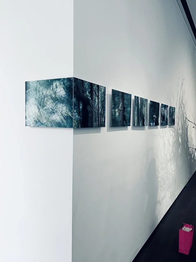 艺术展厅|SIGMA适马镜头博物馆📷
