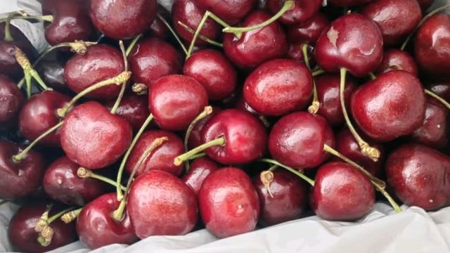 🍒田拾记智利车厘子巨无霸JJJ，鲜美直达！✈️

