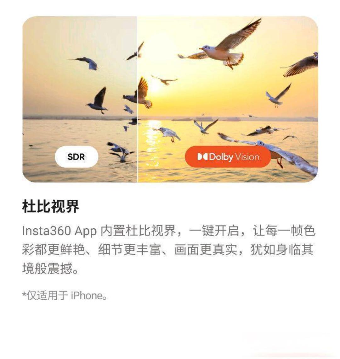 Insta360影石Flow 2 Pro:AI 智能稳定器的突破与多场景应用探索