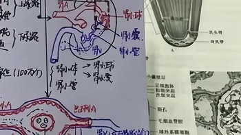 高子昂医编---就这么水灵灵的学完了医基口诀！