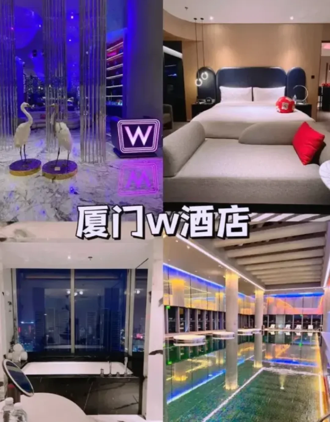 厦门旅游必住的五家顶级奢华酒店推荐,独享海景与绝佳位置