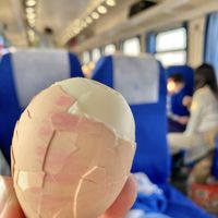 上过站台的蛋变这样,广州北站23.5元低价到深圳东还是太全面了