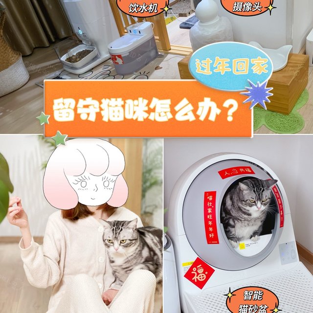 留守猫咪需要这样一套智能宠电