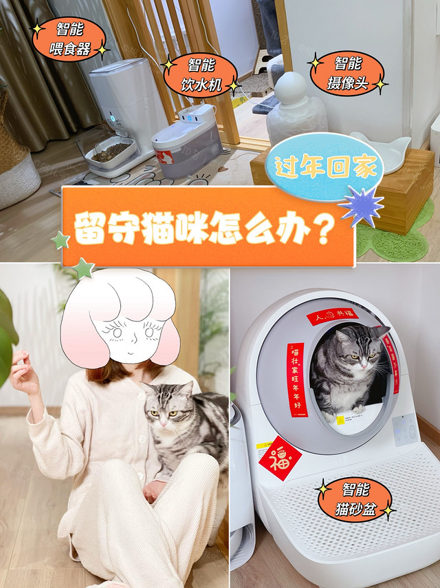 留守猫咪需要这样一套智能宠电