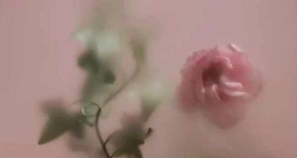 秋冬必备！MQD童装羽绒服 保暖防风超贴心