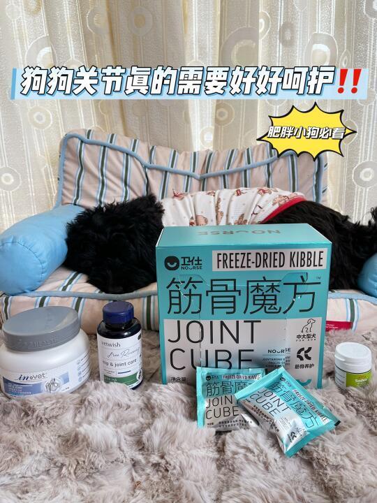 一篇教会你怎么选软骨素🦴肥胖小狗必看‼️
