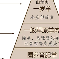 中国十大羊肉｜假如羊肉有段位，阿尔巴斯山羊肉一定是“天花板”