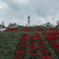 春节三亚行：邂逅热带风情与温暖阳光