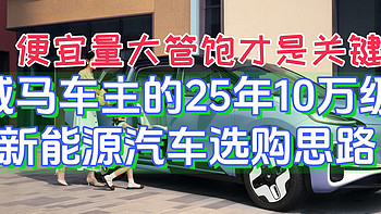 便宜量大管饱才是关键-威马车主的25年10万级新能源汽车选购思路