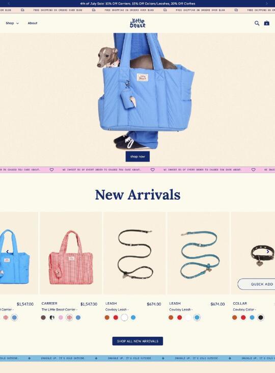 仅3人 Shopify宠物服装独立站年销售超百万