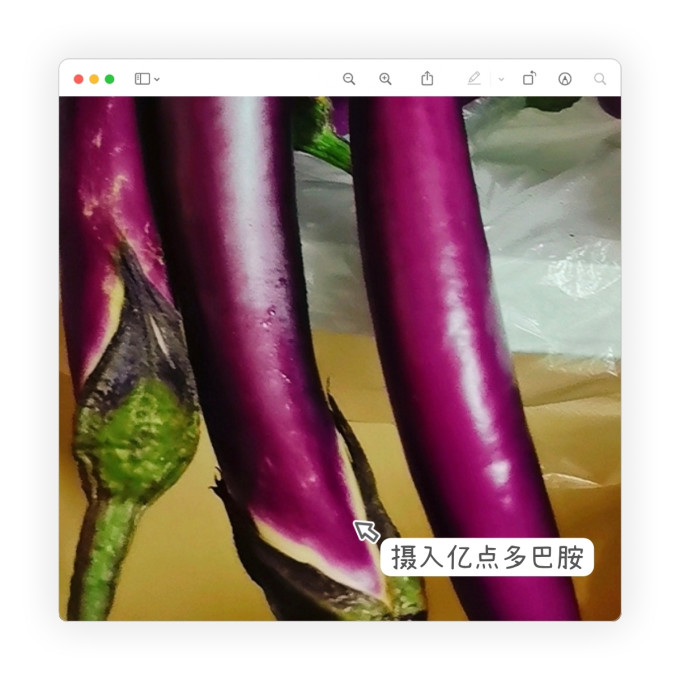 五叔家蔬菜