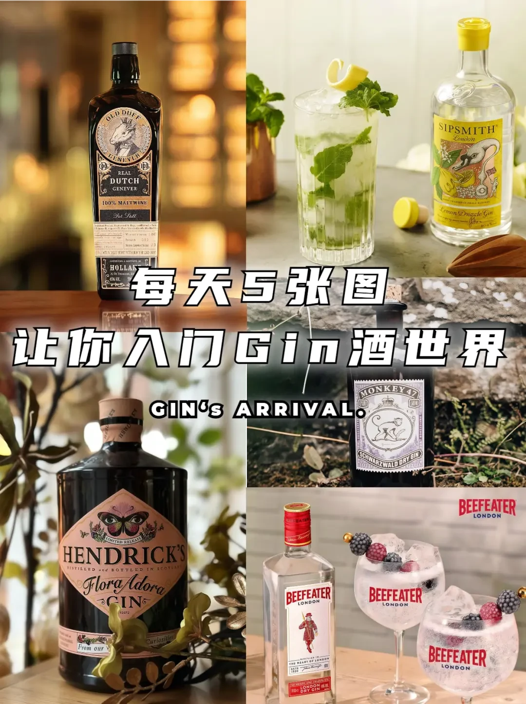 精选内容集|- 探寻金酒的多元世界 从历史到调制秘诀无所不包